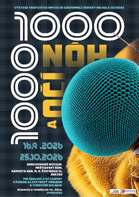 1000 nôh a 1000 očí