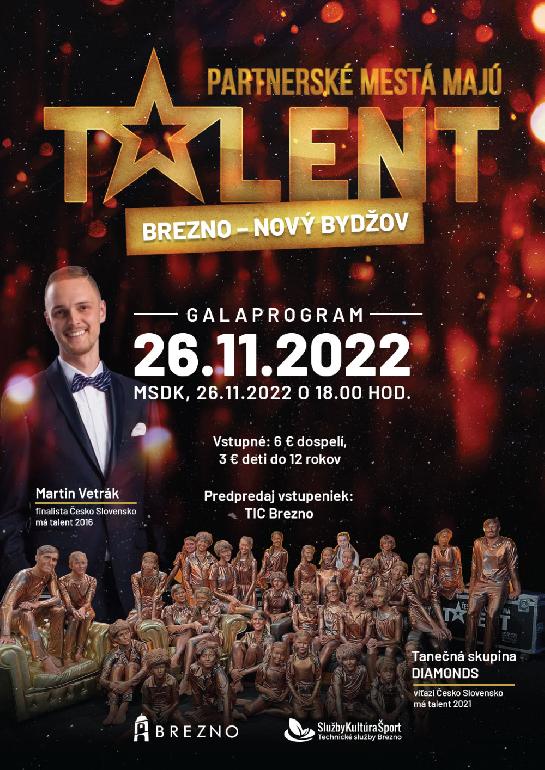Partnerské mestá majú talent Brezno - Nový Bydžov