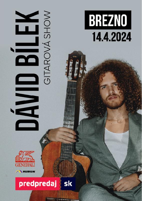 Dávid Bílek GITAROVÁ SHOW