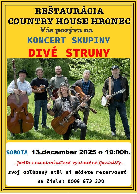 Koncert skupiny Divé struny