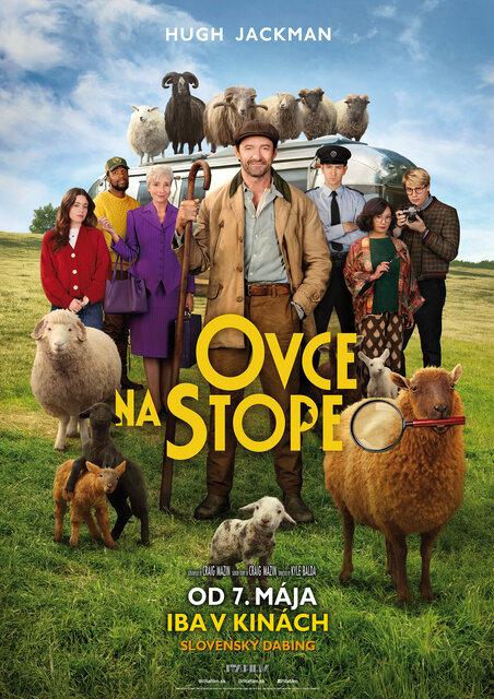 Ovce na stope 