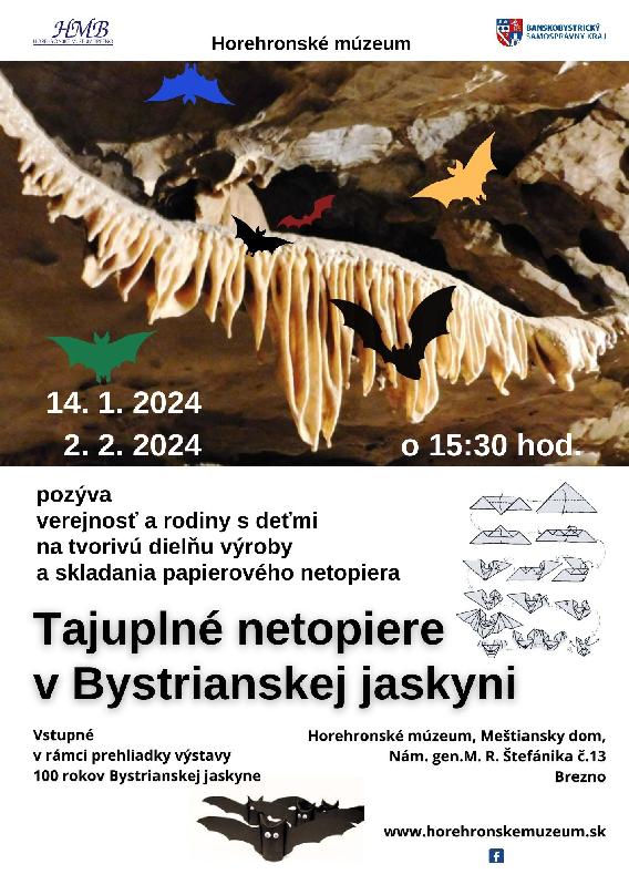 Tajuplné netopiere v Bystrianskej jaskyni
