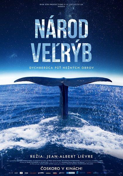 Národ veľrýb