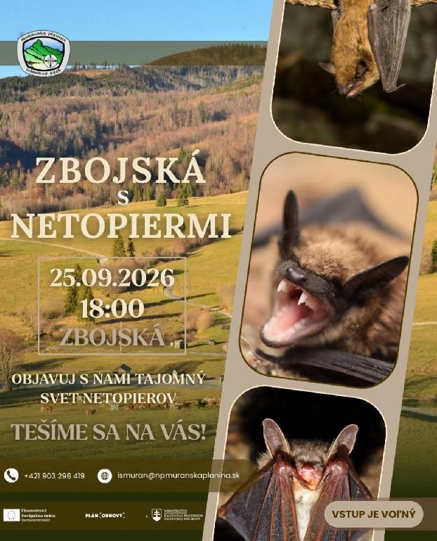 Zbojská s netopiermi