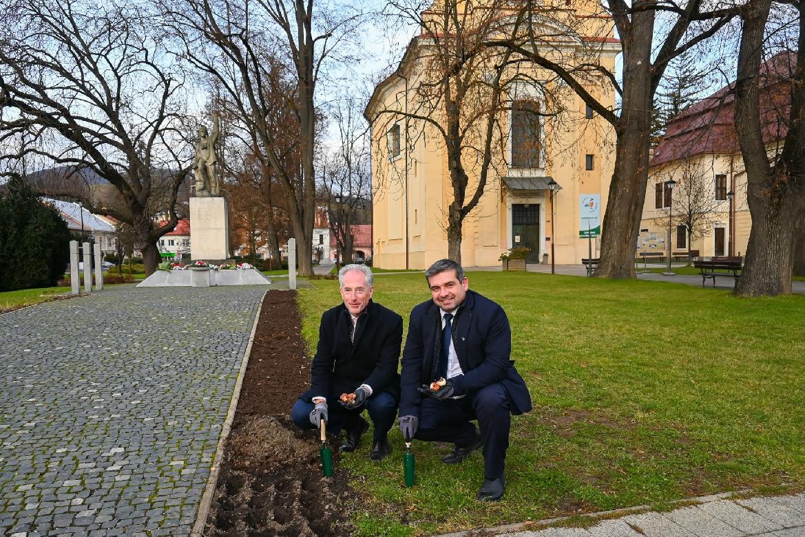 Na jar mesto rozkvitne v holandských farbách