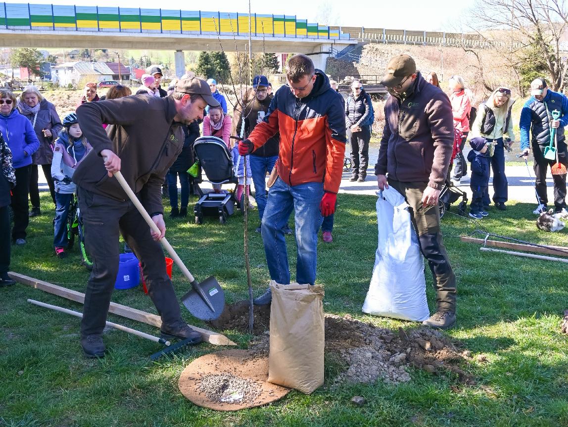 obr: Na nábreží Hrona sadili stromy. Každý z nich má svoju rodinu aj vlastný príbeh