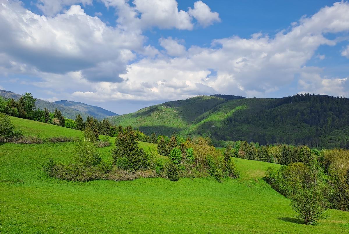 obr: O zelené bohatstvo mesta sa starajú už tri desaťročia