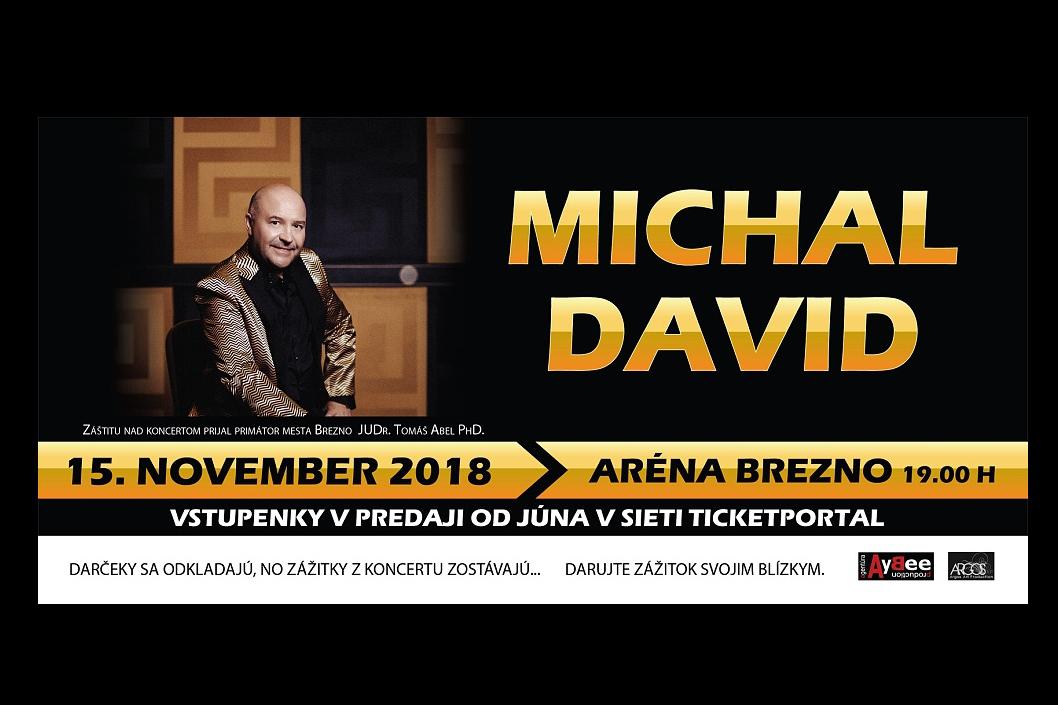 Organizačné pokyny Michal David Brezno 2018