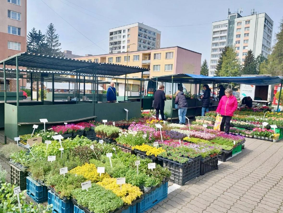 obr: Mestská tržnica je otvorená