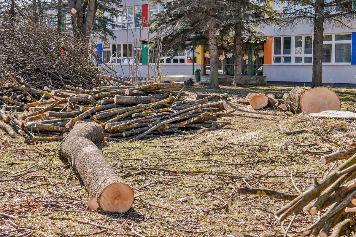 obr: V Brezne dočasne pozastavili výrub drevín. Verejnosti sa nepáčil rapídny úbytok zelene