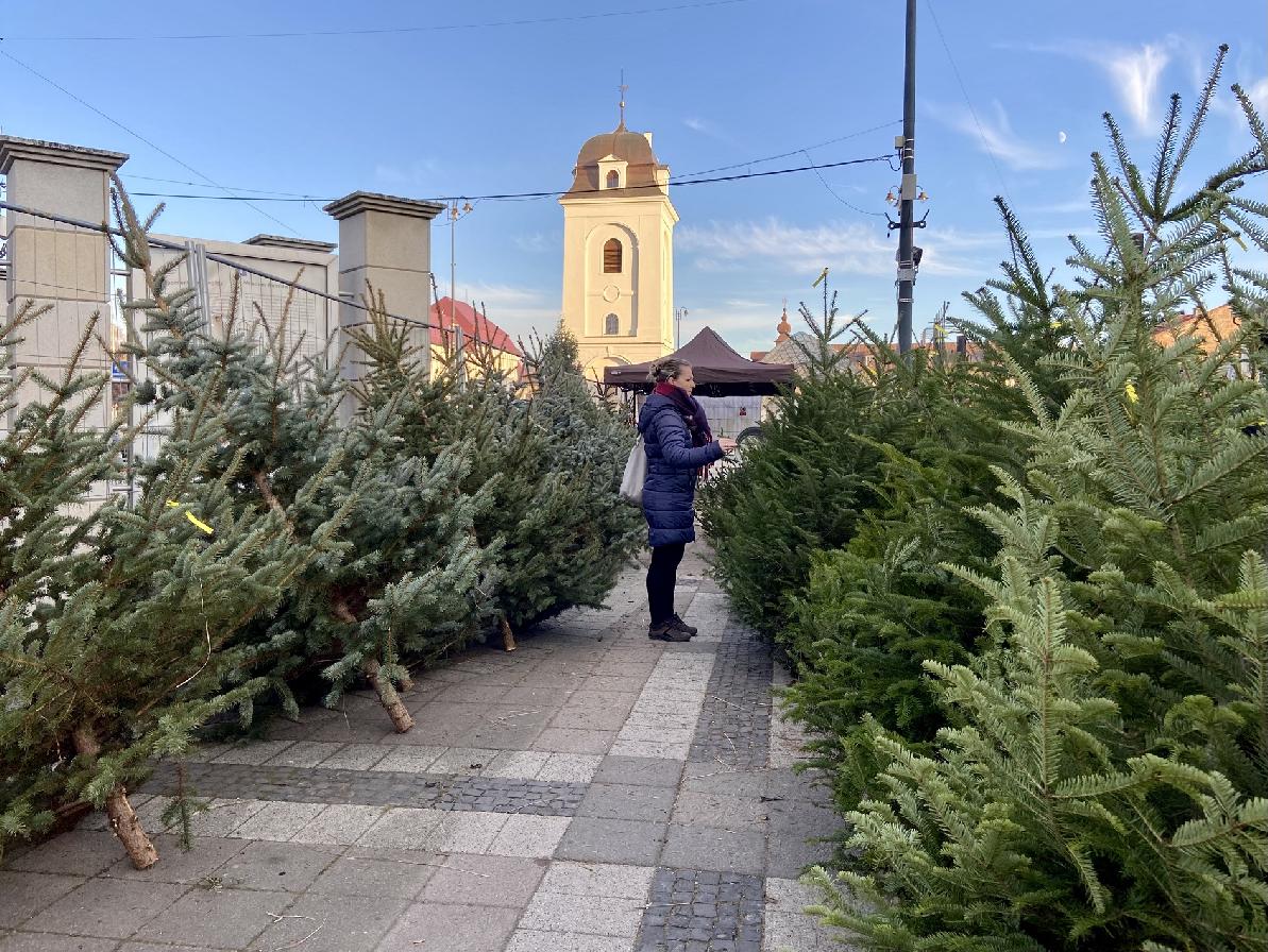 obr: Na námestí začal predaj vianočných stromčekov