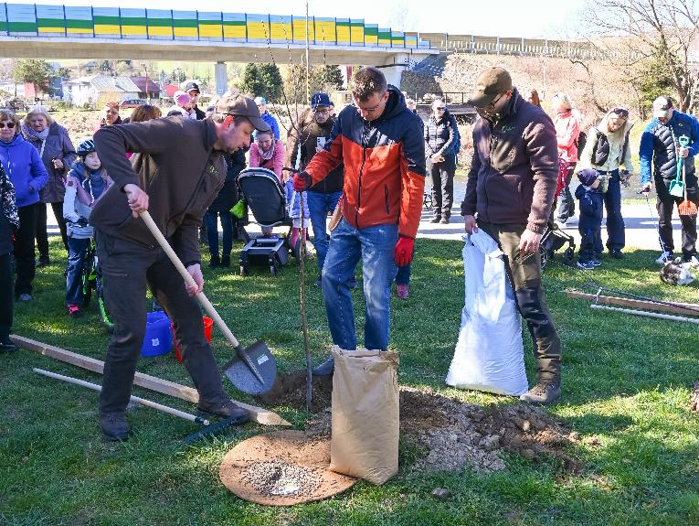 Na nábreží Hrona sadili stromy. Každý z nich má svoju rodinu aj vlastný príbeh