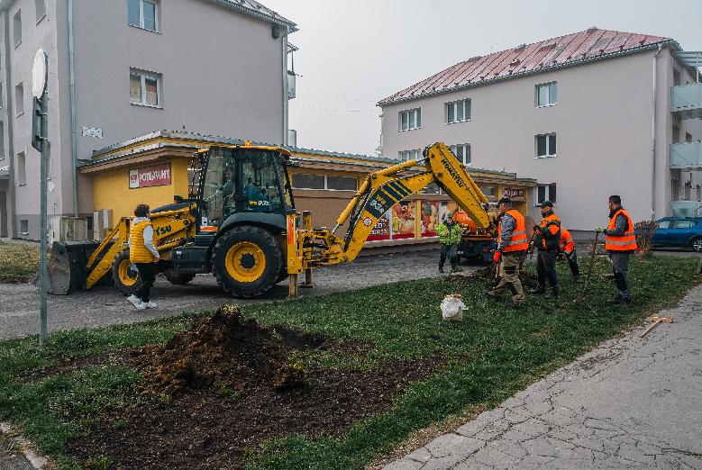 Technické služby v meste sadili ihličnany a jarabinu. Vo výsadbe budú pokračovať aj naďalej