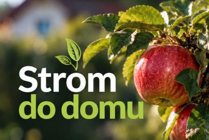 Strom do domu sa opäť stretol s veľkým úspechom