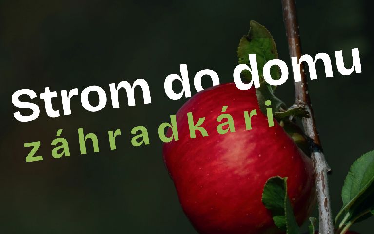 Strom do domu - záhradkári 