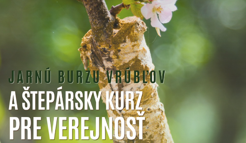 Chcete sa naučiť správne štepiť? Príďte na Burzu vrúbľov do historického sadu na Banisku