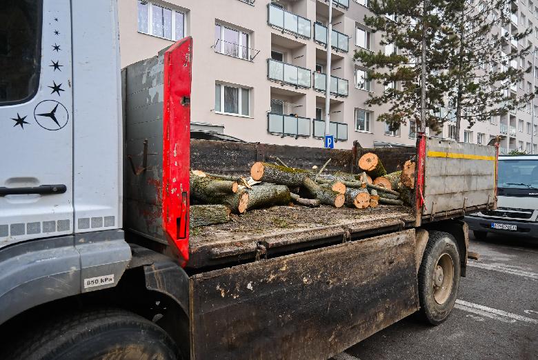Výrub drevín v Brezne. Mesto ho realizuje odborne, na podnet obyvateľov aj v záujme rozvoja