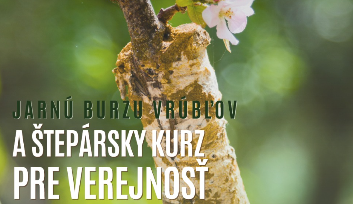 Chcete sa naučiť správne štepiť? Príďte na Burzu vrúbľov do historického sadu na Banisku