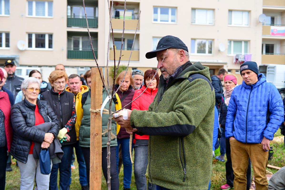 obr: Na Malinovského ulici sadili stromy, ktoré oživili spomienky a spojili generácie