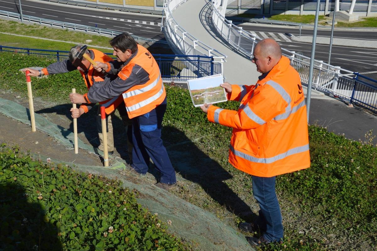 obr: V Brezne po dlhých rokoch uzrel svetlo sveta historický monument z vojnového obdobia